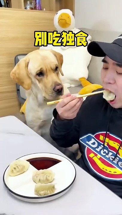 zhe-gou-zi-chi-ge-dong-xi-huan-ting-jiang-jiu