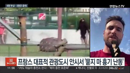 프랑스 안시서 '묻지 마 칼부림'…유모차 속 아기까지