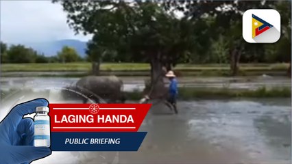 Panayam kay Cooperative Development Authority Asec. Myrla Paradillo