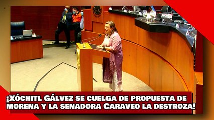 ¡VEAN! ¡Xóchitl Gálvez se cuelga de propuesta de morena y la senadora Caraveo la destroza!