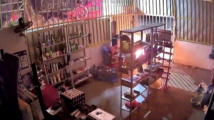 Perrita salva a familia de un incendio en Chiapas