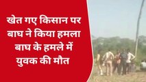 लखीमपुर खीरी: खेत गए किसान पर बाघ का हमला, युवक की मौत से मचा कोहराम