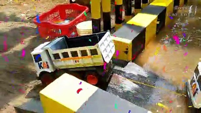 Trucks Transport Cows, Lions and Tigers