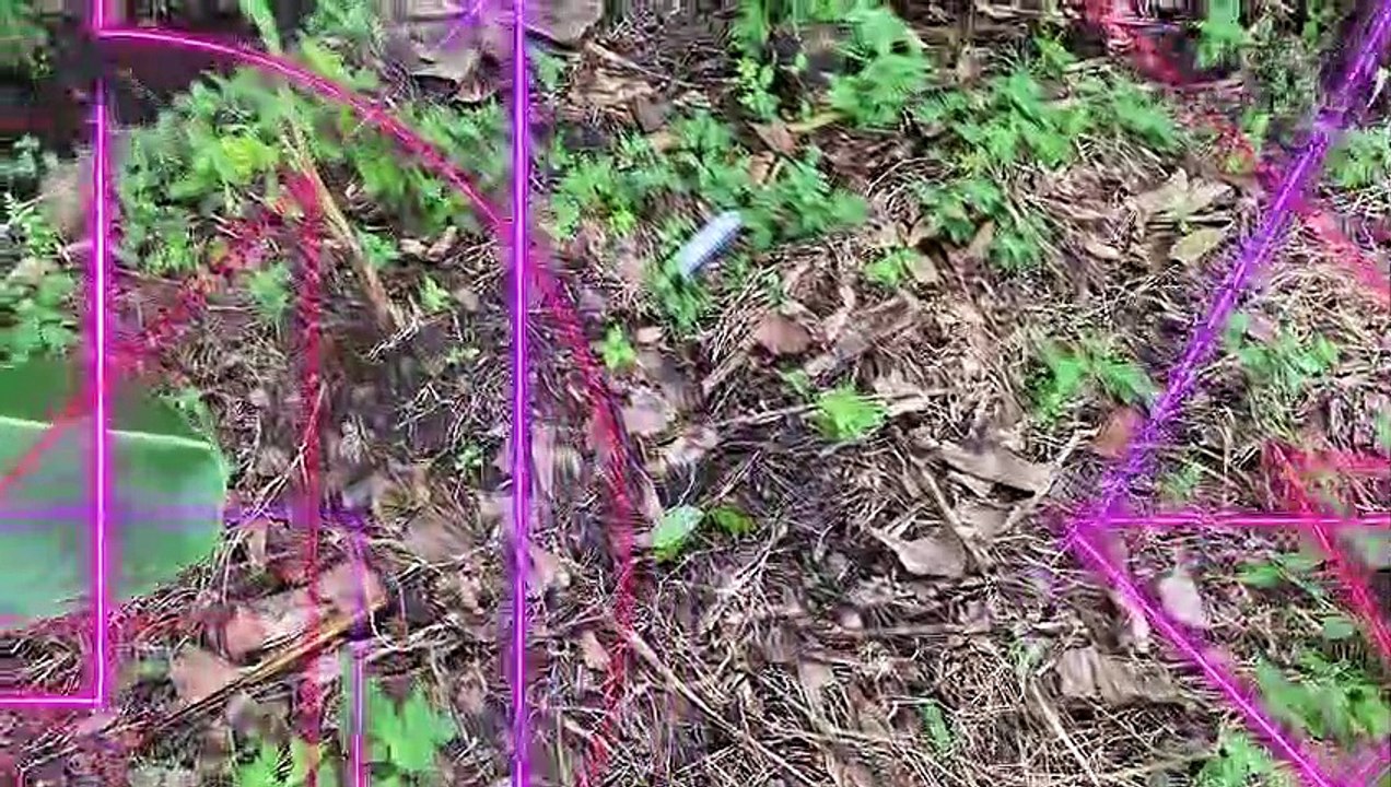 WOW Found Lots of Miniature Locomotive Trains, Carriage on Original Rails - Miniature Railroad Hunting