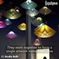 These flower lights automatically blossom #shorts #viral #shortsvideo #video #innovationhub