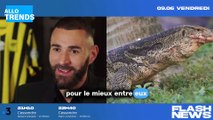 Karim Benzema en Arabie saoudite : L'occasion de laisser un message subtil à Chloé de Launay, la mère de ses enfants !