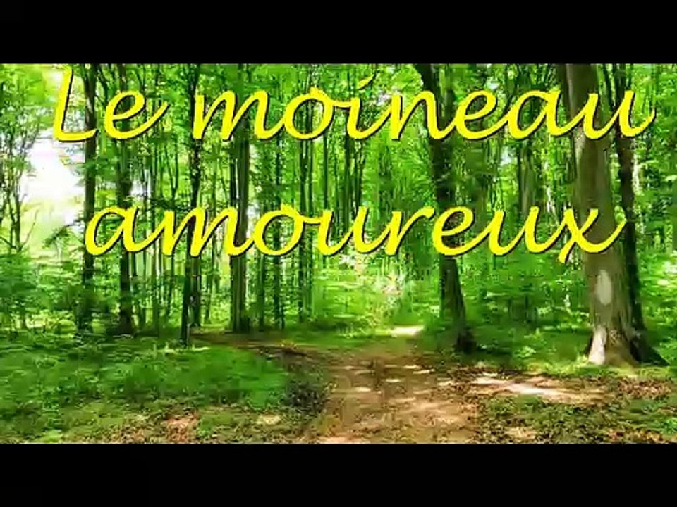 le moineau amoureux