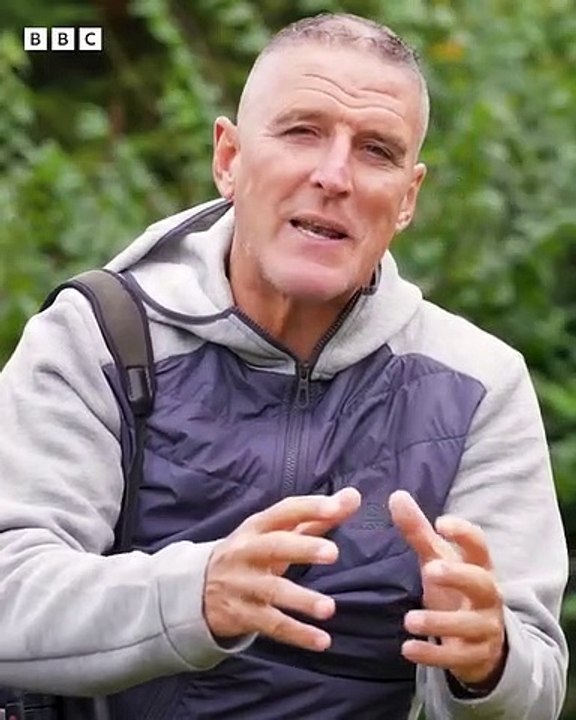 A young peregrine falcon's lesson in hunting leaves one pigeon fighting for survival.  These are the stories from the darker side of our planet. Find #BadNatured every Sunday on the BBC Earth YouTube channel.