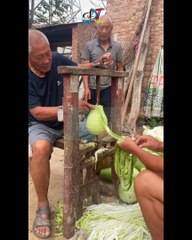 Pumpkin Peeling Method and suit cutting