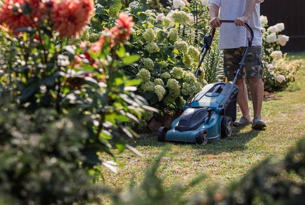 Tondre sa pelouse en juin est-ce interdit ? Voici ce que dit la loi