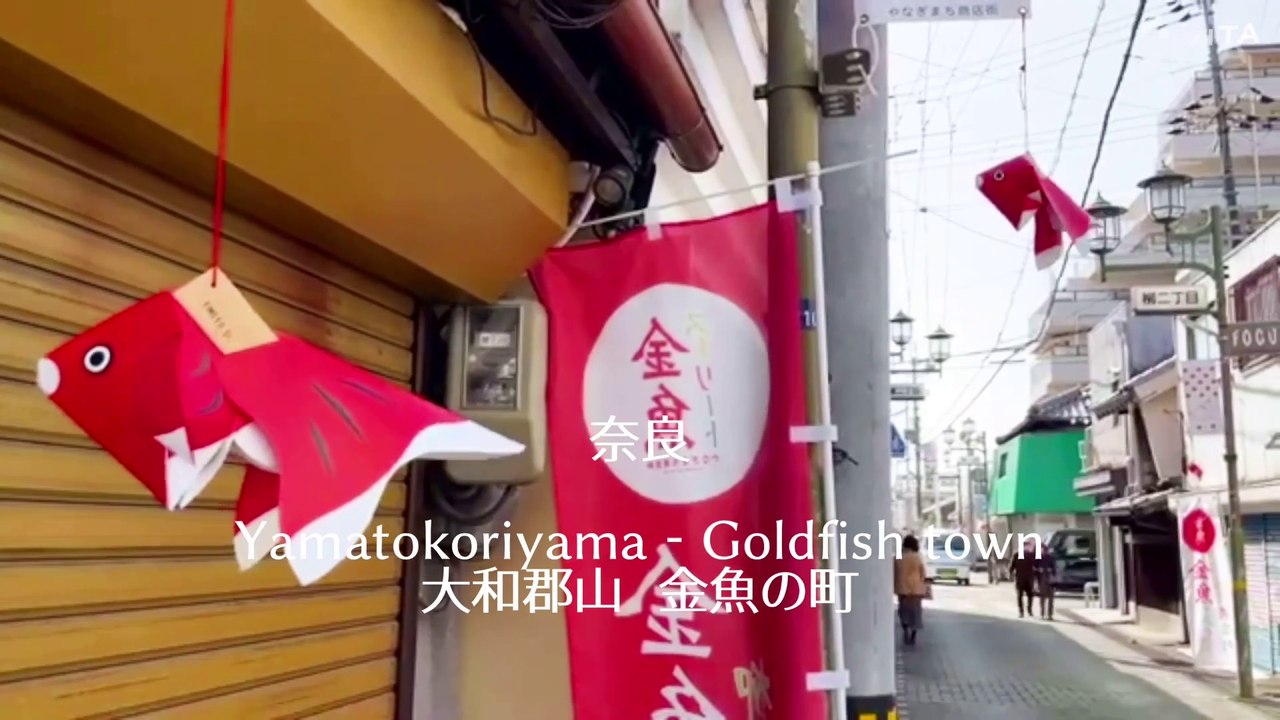 Nara  Goldfish Town Yamatokoriyama