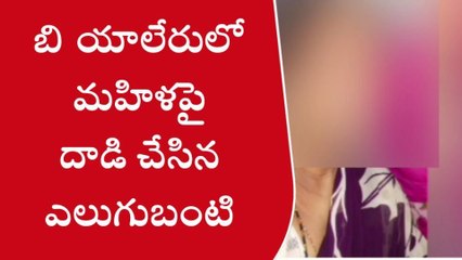 ఆత్మకూరు: బి.యాలేరు గ్రామంలో మహిళపై ఎలుగుబంటి దాడి
