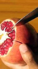 How to grow pomegranate tree from seeds at home #growing_pomegranate_plant_from_seeds