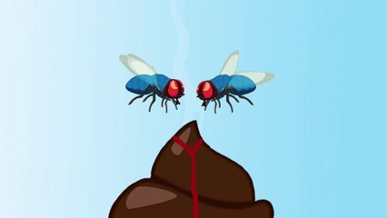 Fly Wars 2: Shit, Peace, and a Crested Battle