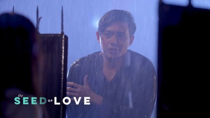 The Seed of Love: The unfaithful husband begs for forgiveness (Episode 25)