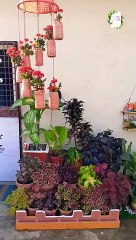 Terrace Garden Overview ideas #beautifulgardens  #shorts #shortsviral