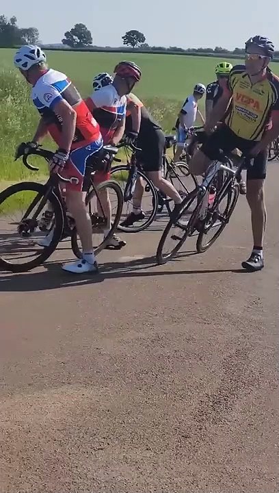 Wild Boars Knock Over Cyclists