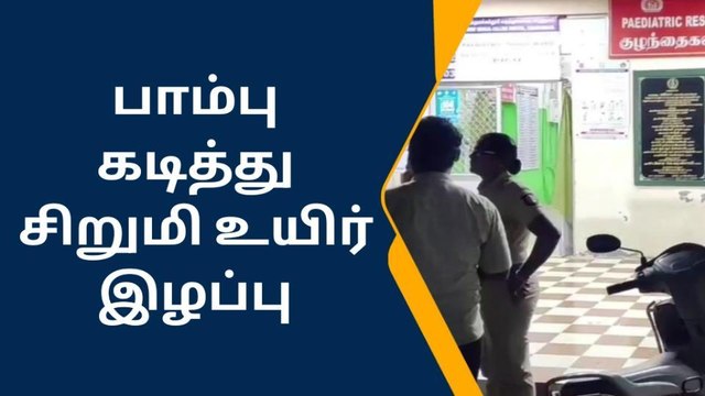 விருதுநகர்: பாம்பு கடித்ததில் சிகிச்சை பலனின்றி சிறுமி பலி