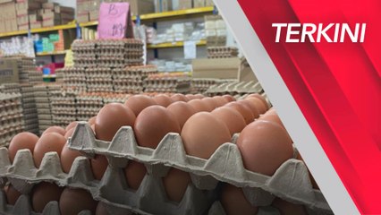 PM setuju subsidi ayam dan telur diteruskan mulai 1 Julai