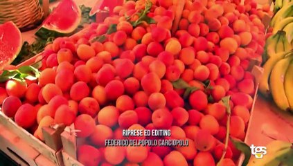 Di Che Pasta Sei - Puntata 1