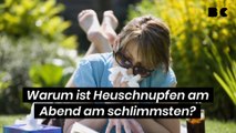 Warum ist Heuschnupfen am Abend am schlimmsten?