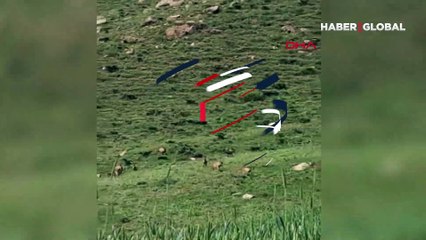 Hakkari'de, dağ keçileri sürü halinde görüntülendi