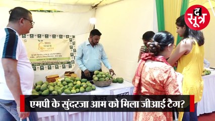 भोपाल में चल रहा मैंगो फेस्वटिवल, डायबिटिक पेशेंट के लिए आया ये खास आम