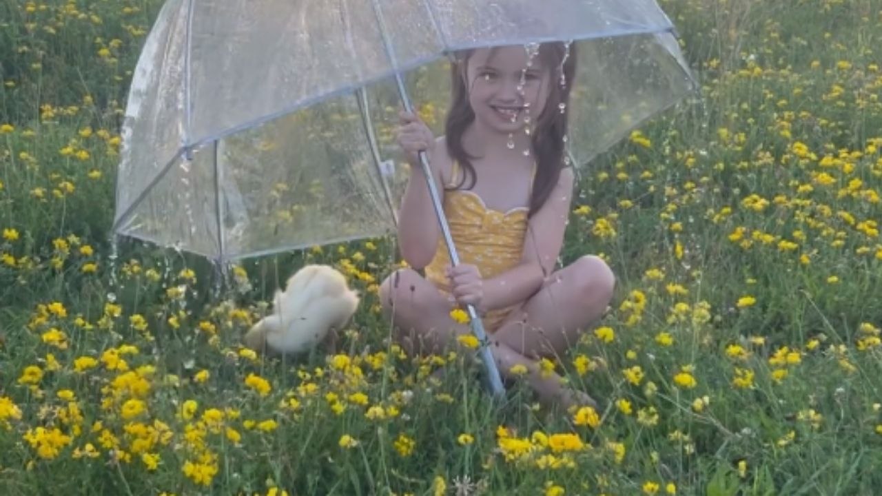 Photographer does exceptional rainy day photogr...