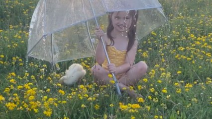 Photographer does exceptional rainy day photography in a controlled environment