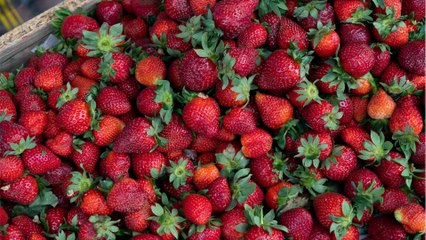 Erschreckende Ergebnisse: Darum solltest du diese Erbeeren lieber nicht essen