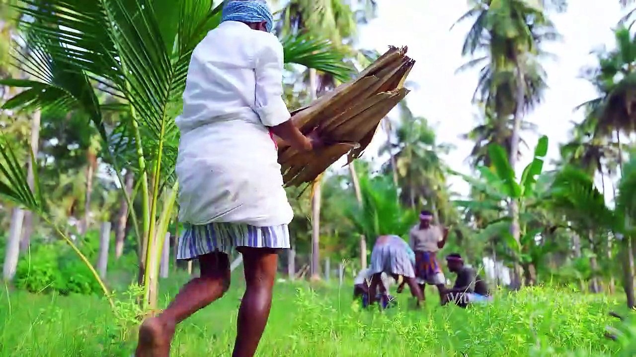 2000 CHICKEN HEARTS FRY _ Spicy Hearts Recipe Cooking in Village _ Chicken Parts Recipes