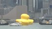 Los gigantes patos hinchables de Hofman vuelven a la bahía de Hong Kong