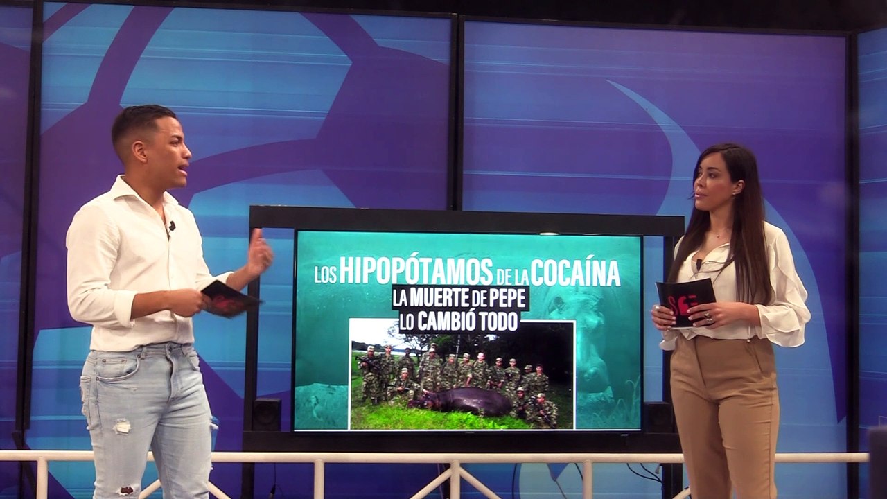 HIPOPOTAMOS 5