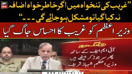‘Economic progress not possible without ending political instability’, PM Shebaz