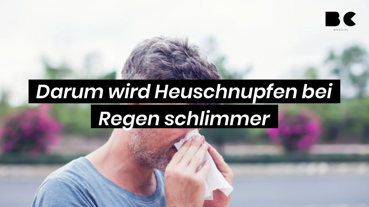 Darum wird Heuschnupfen bei Regen schlimmer