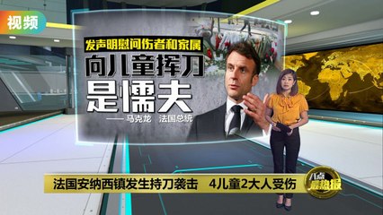 法国安纳西公园发生随机持刀袭击，儿童受伤惨重🩸