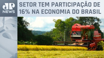 PIB do agronegócio paulista cresceu 15,7% em 10 anos