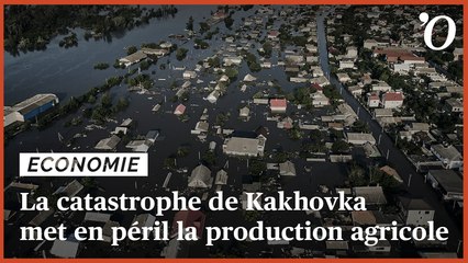 Ukraine: la catastrophe du barrage de Kakhovka met en péril la production agricole