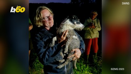 Fire Department Saves Dog Stuck In Underground Pipe