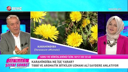 Elif Melek ile Şeffaf Sohbet 9 Haziran 2023