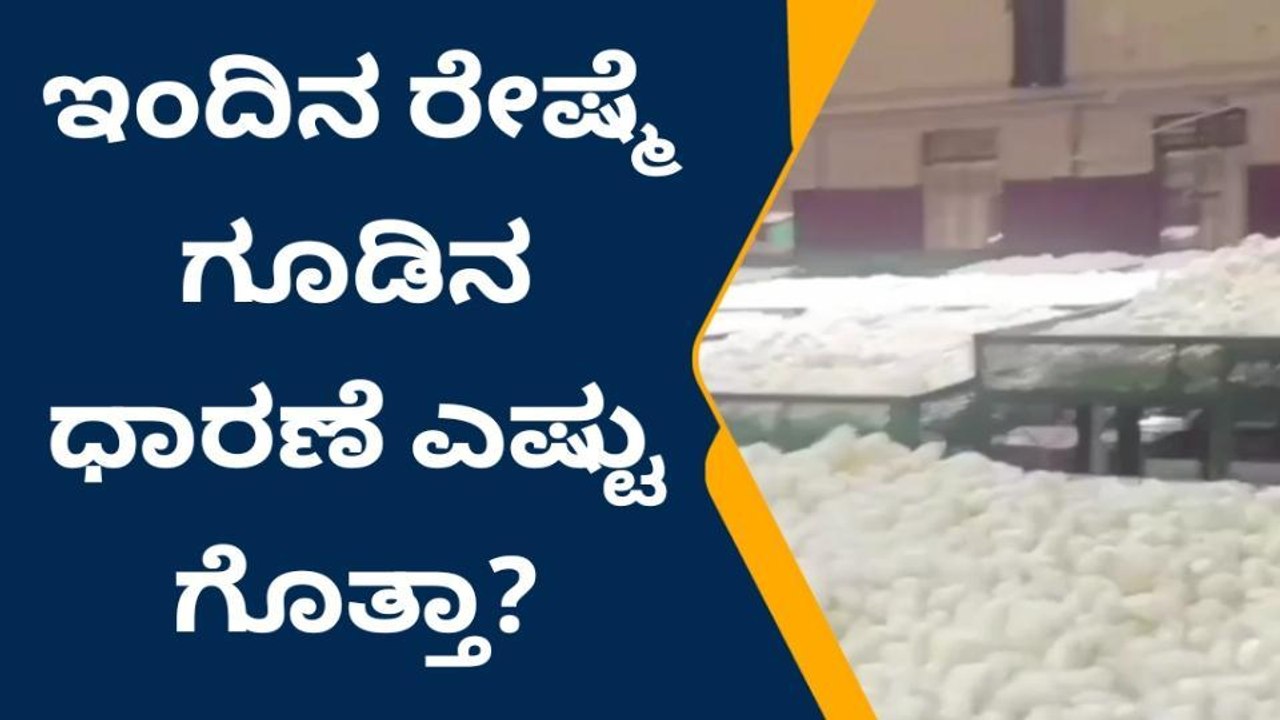 ಶಿಡ್ಲಘಟ್ಟ : ಇಂದಿನ ರೇಷ್ಮೆ ಗೂಡಿನ ಧಾರಣೆ ಎಷ್ಟು ಗೊತ್ತಾ?
