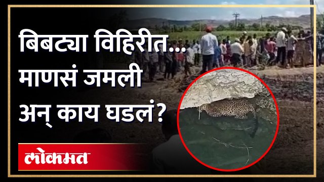 बिबट्या रात्रभर विहिरीत..सकाळी माणसं जमली तेव्हा काय घडलं? Leopard fell into well | Sangli News |AM3