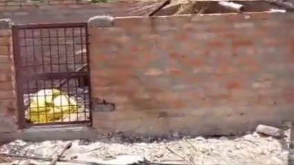 प्रयागराज: संदिग्ध परिस्थितियों में छप्पर में लगी आग, कई मवेशी झूलसें