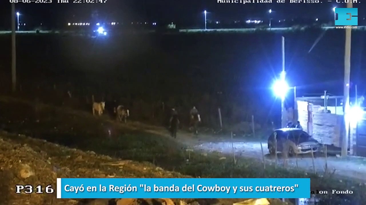 Cayó en la Región "la banda del Cowboy y sus cuatreros"