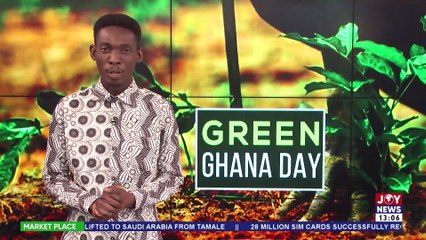 Green Ghana Day: Govt to seek financing solution to leverage investments in forest conservation
