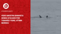 Vídeo mostra banhista sendo atacado por tubarão-tigre; vítima morreu