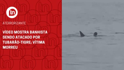 Vídeo mostra banhista sendo atacado por tubarão-tigre; vítima morreu