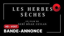 LES HERBES SÈCHES de Nuri Bilge Ceylan avec Deniz Celiloğlu, Merve Dizdar, Musab Ekici : bande-annonce [HD-VOST] | 12 juillet 2023 en salle