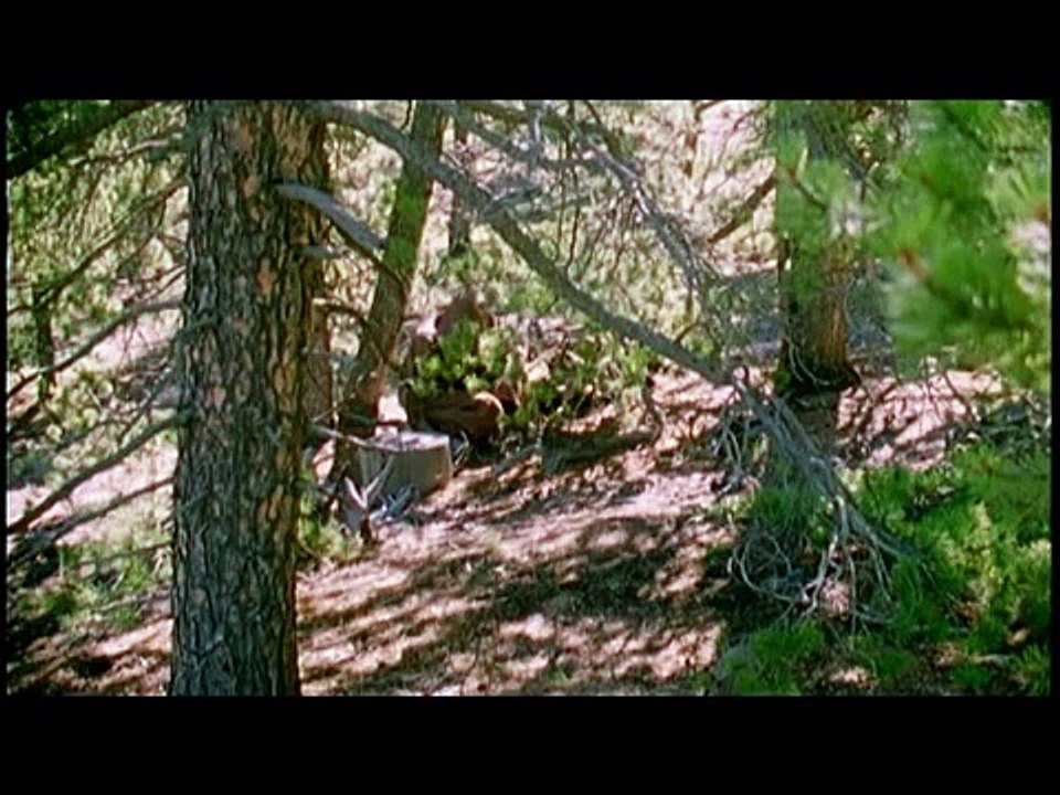 Night Things - Trailer