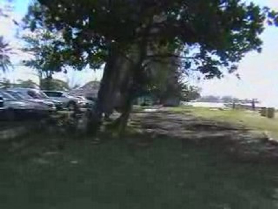 Tahiti spot